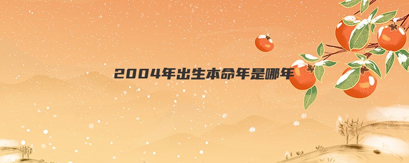 2004年出生本命年是哪年