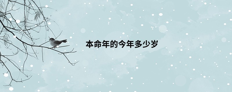 本命年的今年多少岁