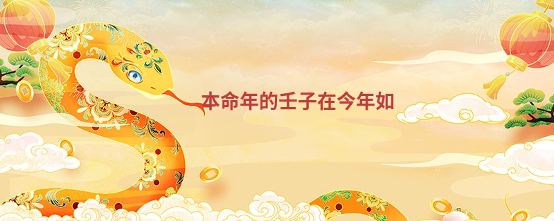 本命年的壬子在今年如