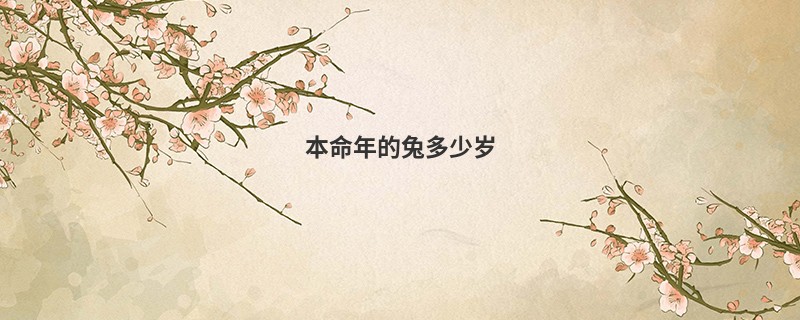 本命年的兔多少岁