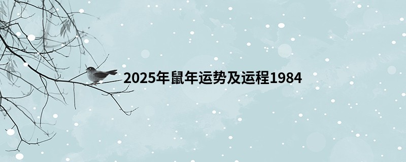 2025年鼠年运势及运程1984