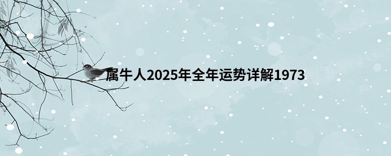 属牛人2025年全年运势详解1973