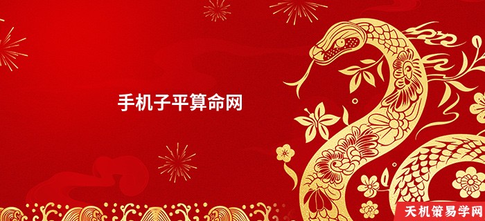 手机子平算命网