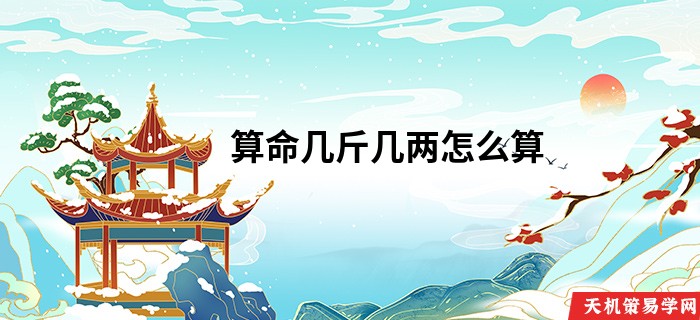算命几斤几两怎么算