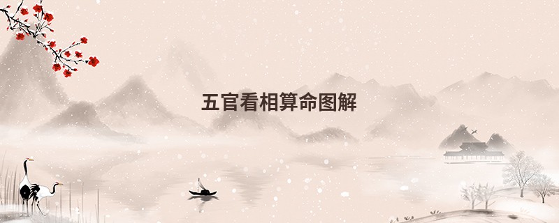 五官看相算命图解