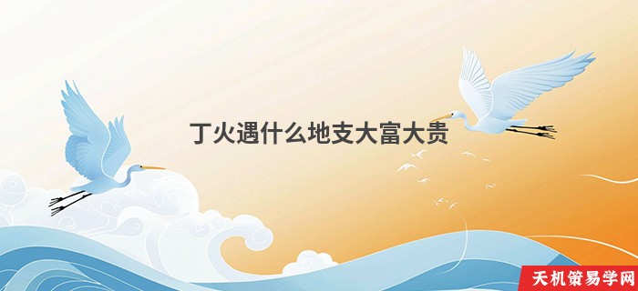 丁火遇什么地支大富大贵