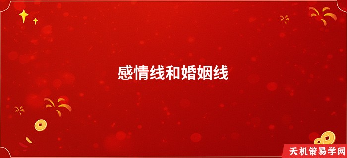 感情线和婚姻线