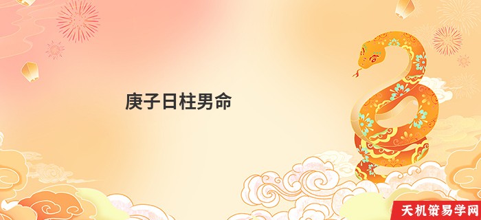 庚子日柱男命
