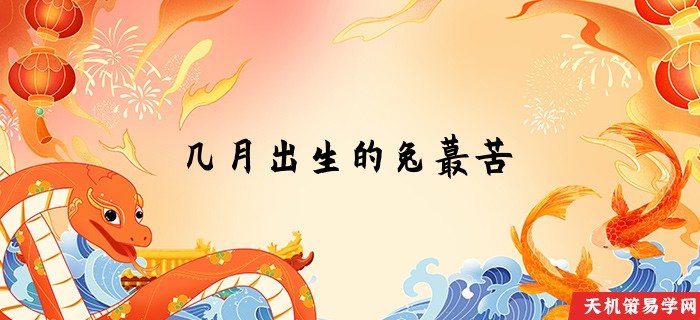 几月出生的兔蕞苦