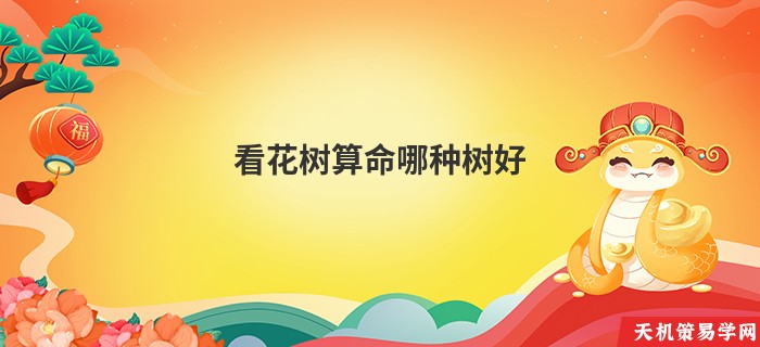 看花树算命哪种树好