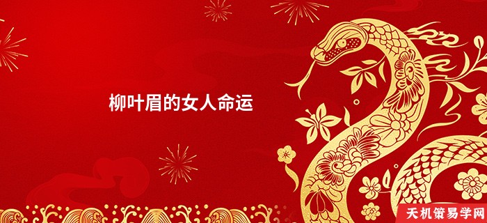 柳叶眉的女人命运