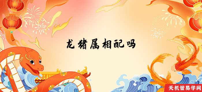 龙猪属相配吗