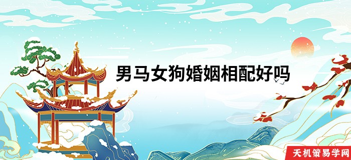 男马女狗婚姻相配好吗