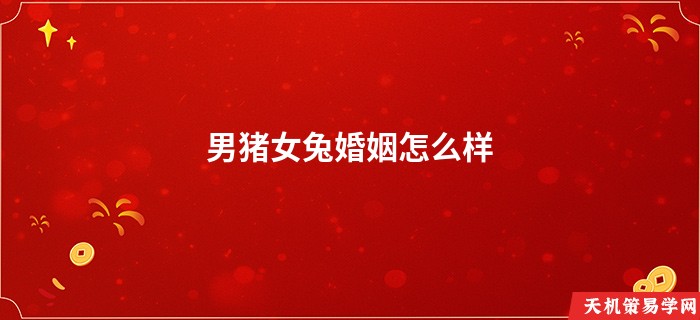 男猪女兔婚姻怎么样