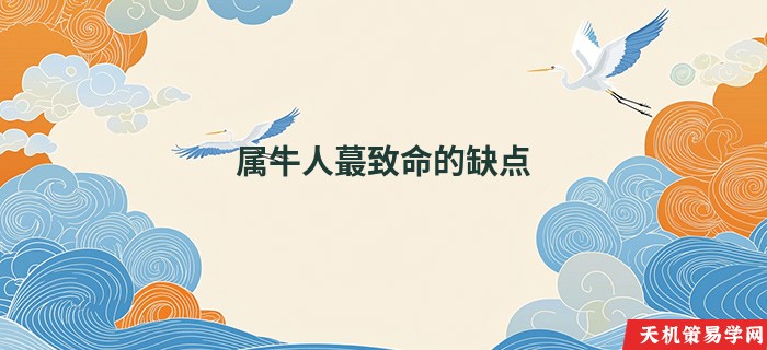 属牛人蕞致命的缺点