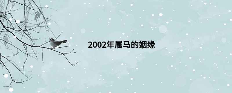 2002年属马的姻缘