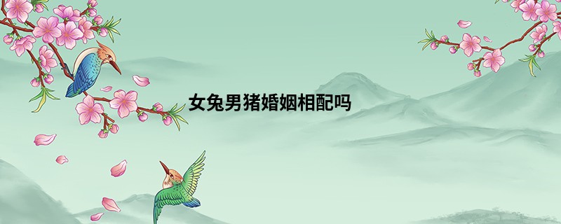 女兔男猪婚姻相配吗