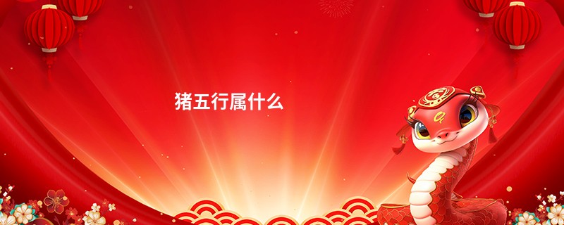 猪五行属什么
