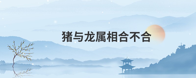 猪与龙属相合不合