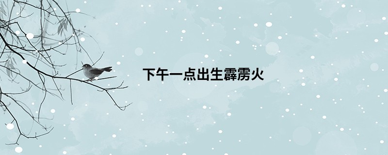下午一点出生霹雳火