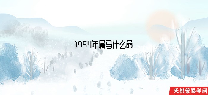 1954年属马什么命
