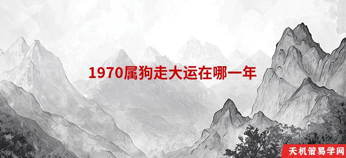 1970属狗走大运在哪一年