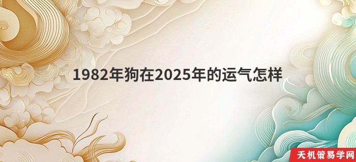 1982年狗在2025年的运气怎样