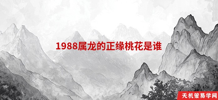 1988属龙的正缘桃花是谁