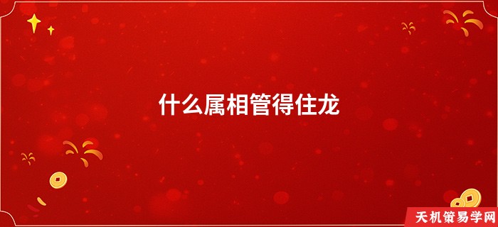 什么属相管得住龙