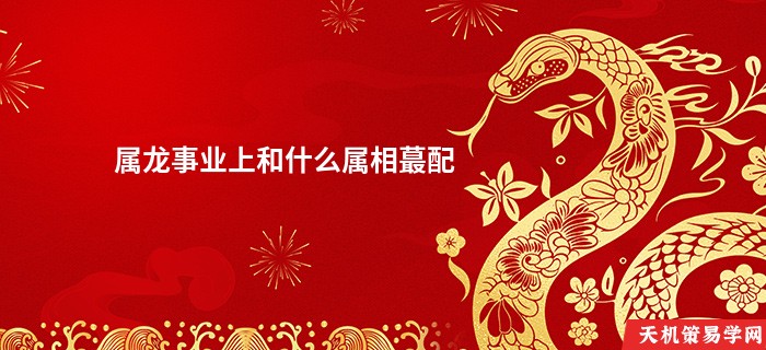 属龙事业上和什么属相蕞配