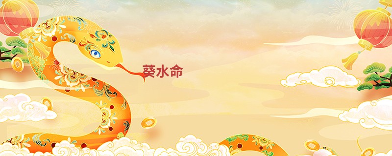 葵水命