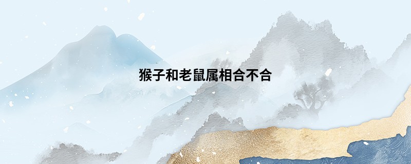 猴子和老鼠属相合不合