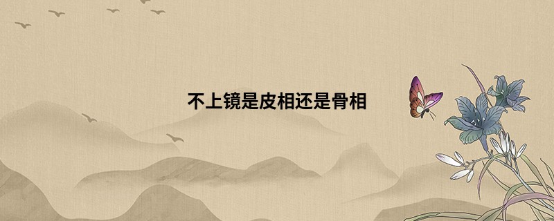 不上镜是皮相还是骨相