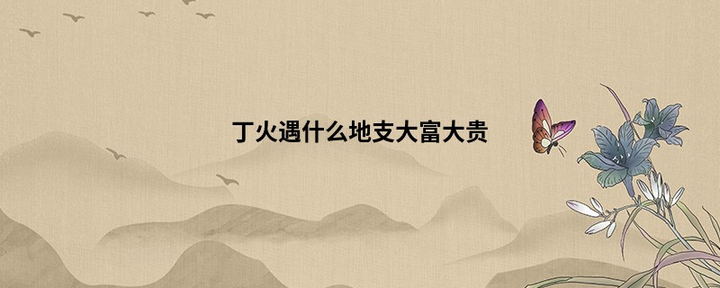丁火遇什么地支大富大贵