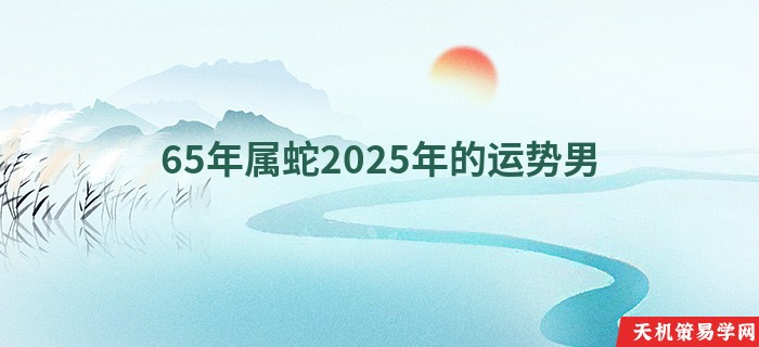 65年属蛇2025年的运势男