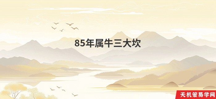 85年属牛三大坎
