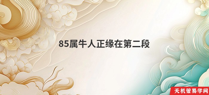 85属牛人正缘在第二段