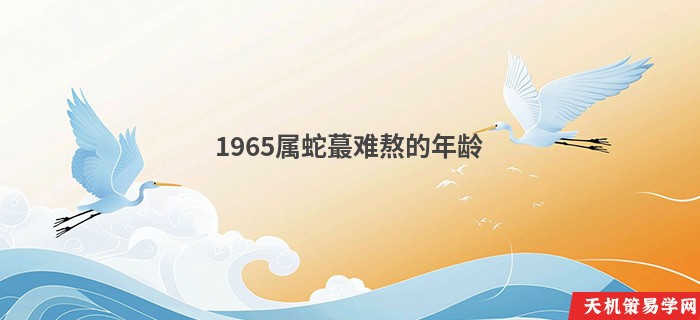 1965属蛇蕞难熬的年龄