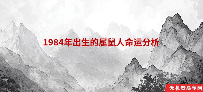 1984年出生的属鼠人命运分析