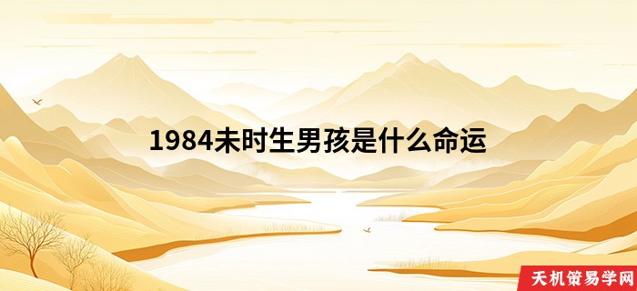 1984未时生男孩是什么命运