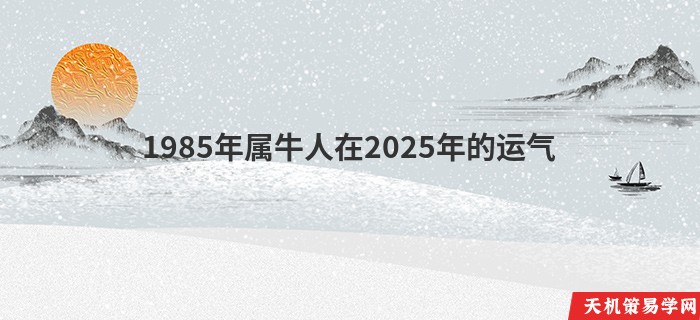 1985年属牛人在2025年的运气
