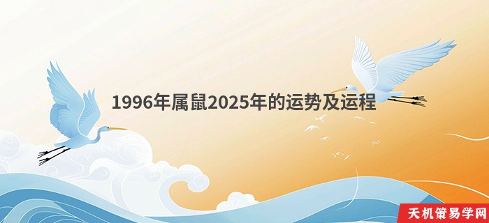 1996年属鼠2025年的运势及运程