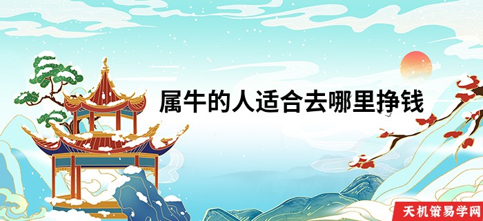 属牛的人适合去哪里挣钱