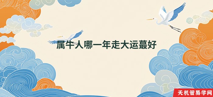 属牛人哪一年走大运蕞好