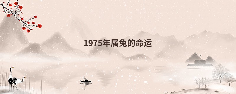 1975年属兔的命运