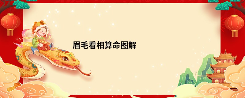 眉毛看相算命图解