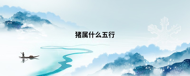 猪属什么五行