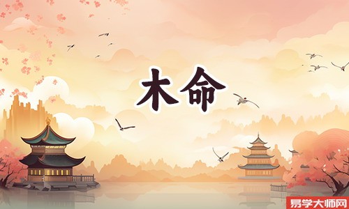 五行算命：木命人适合做什么行业？