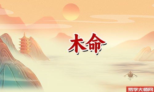 癸亥年生大海水木命好不好