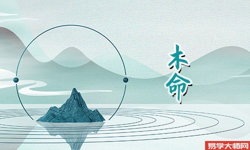 木命的运势是怎么样的?他们的财运发展好吗?